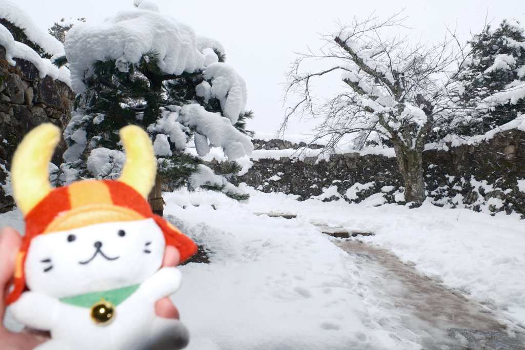 ある大雪の散策６