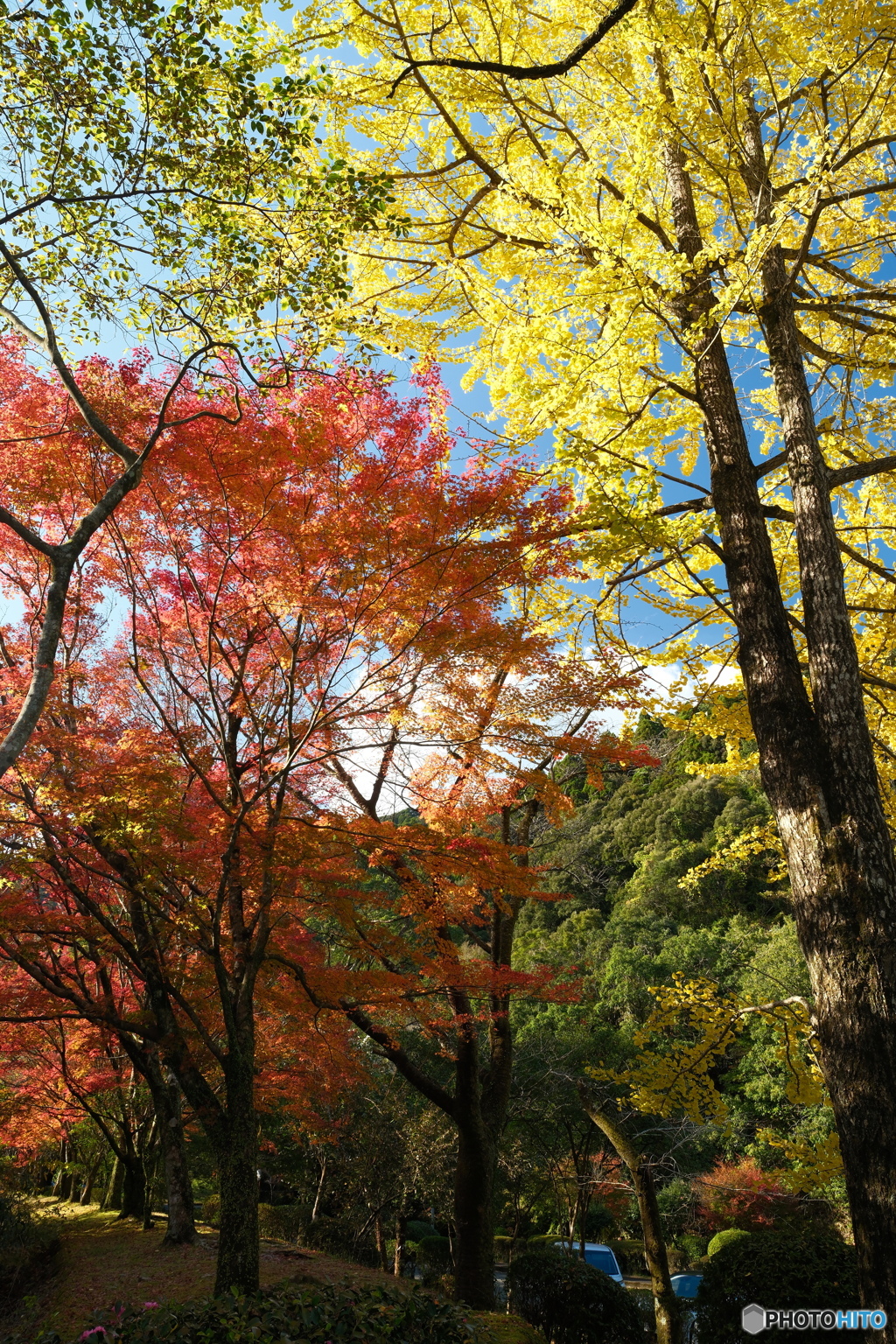 秘境で穴場な紅葉の旅１７