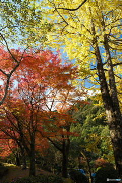 秘境で穴場な紅葉の旅１７