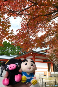 思えば九州で紅葉を撮りに行くのは初めての旅だった１