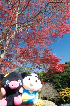 思えば九州で紅葉を撮りに行くのは初めての旅だった７