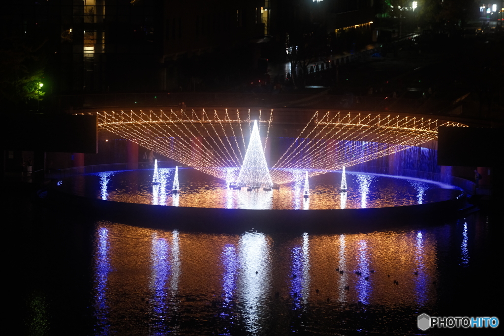 環水公園スイートイルミネーション2024-2