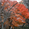 飛騨高山の紅葉巡り１７