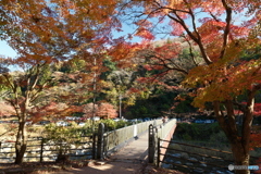 香嵐渓の紅葉１８