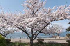 コロナもやばいですが別の病気にもお気を付けて下さい６