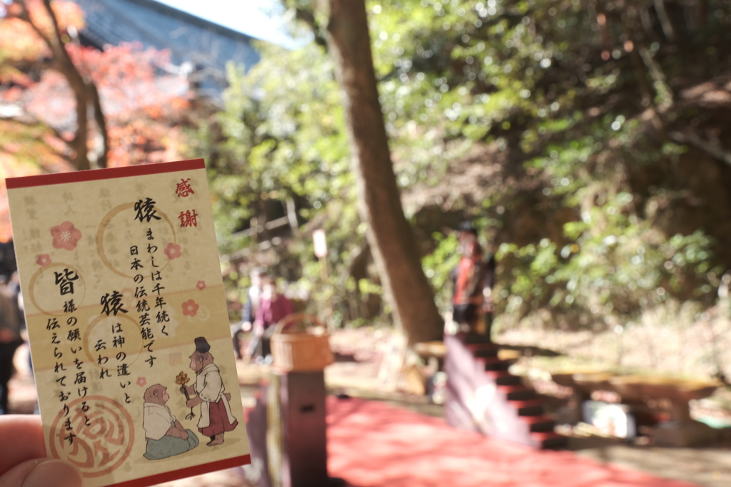 仕事は休業中、紅葉は播州、書写山圓教寺にて猿まわしの芸３