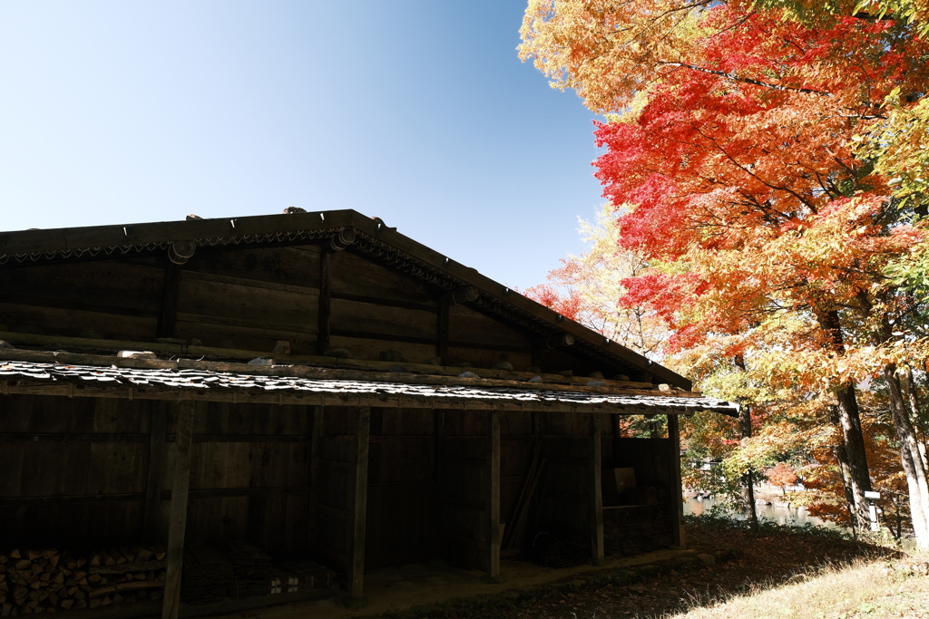 飛騨の里の紅葉巡り１０