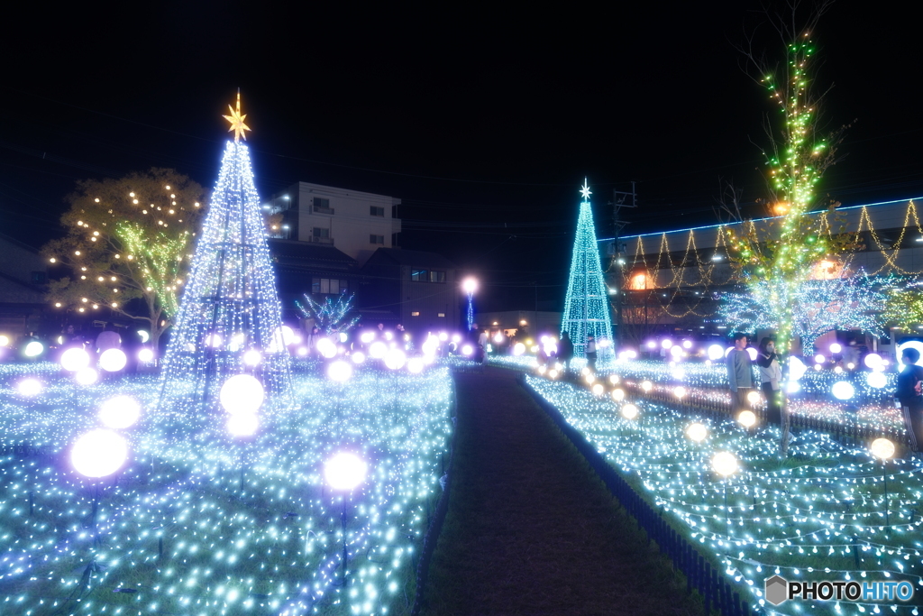 都城まちなかイルミネーション2025-3