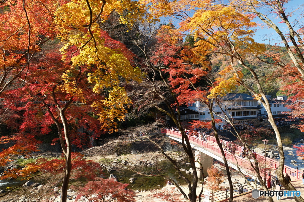 香嵐渓の紅葉１４