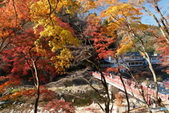 香嵐渓の紅葉１４