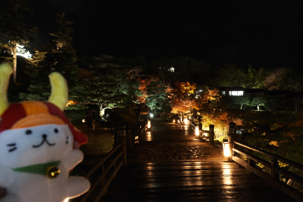 11/27、今年最初にして最後に見た紅葉ライトアップ４