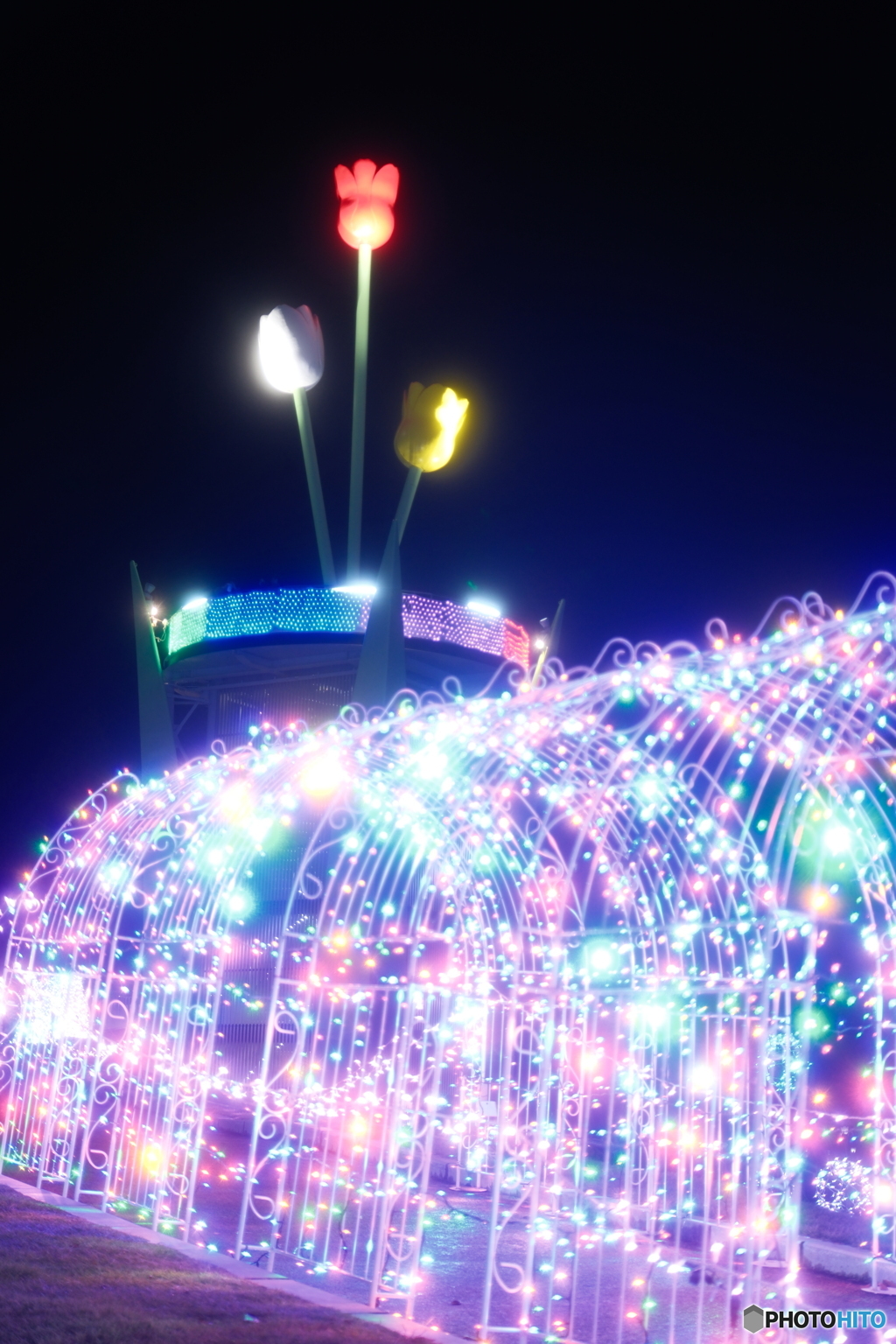 チューリップ公園KIRAKIRAミッション2024-2