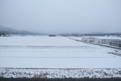 湖西線にて、電車の車窓からの雪景色５