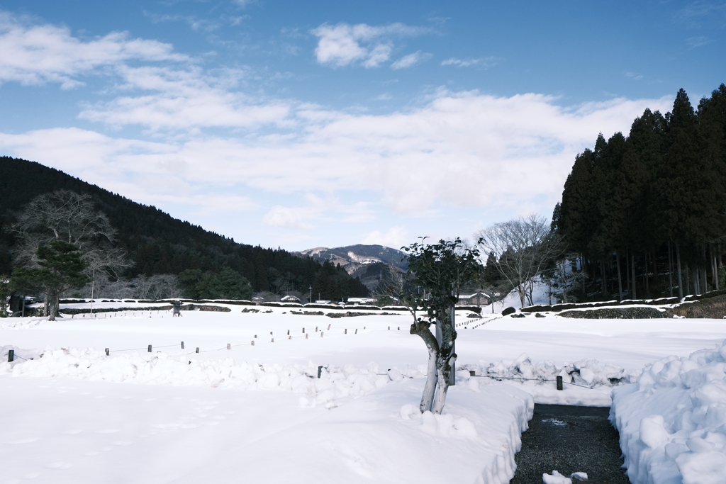 晴れた日の雪景色５