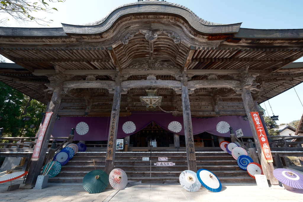 桜の季節で数少ない週末晴れた時７