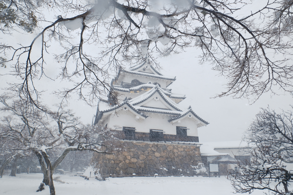 ある大雪の散策９
