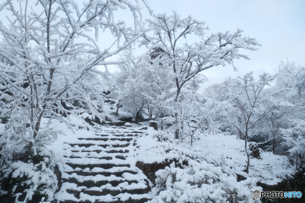 年末最終夜勤明けの近場５