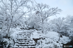 年末最終夜勤明けの近場５
