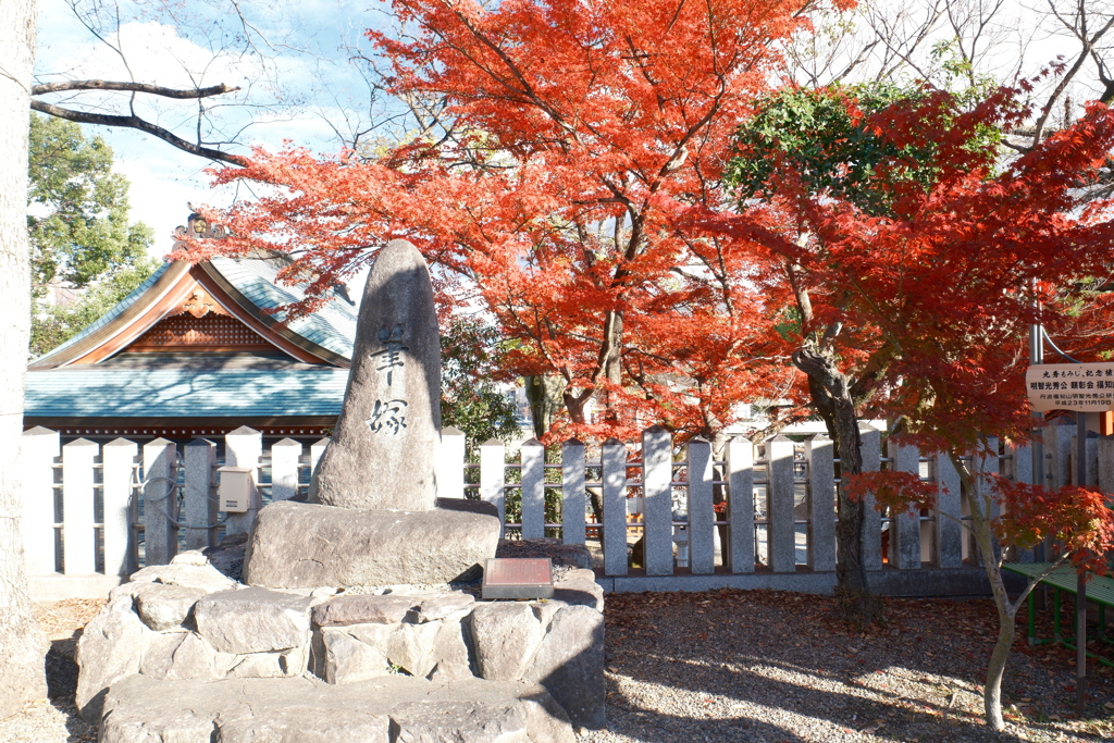 12月の紅葉１４