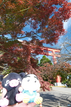 思えば九州で紅葉を撮りに行くのは初めての旅だった９