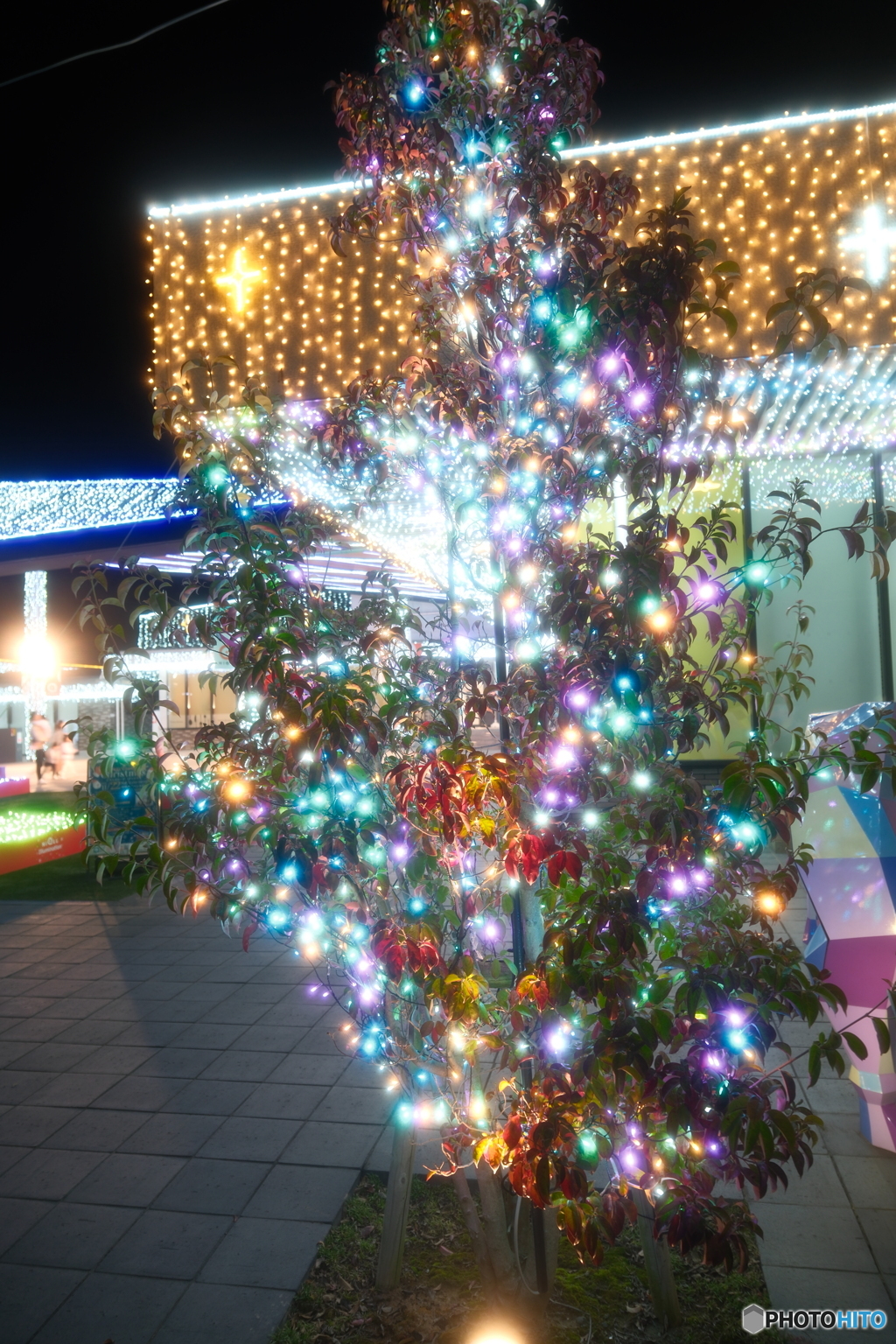 道の駅都城NIQLLのイルミネーションを見にくる１０