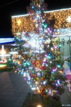 道の駅都城NIQLLのイルミネーションを見にくる１０
