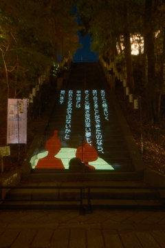 石山寺 あたら夜もみじ４