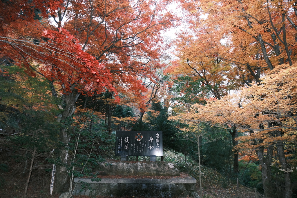 飛騨高山の紅葉巡り１８