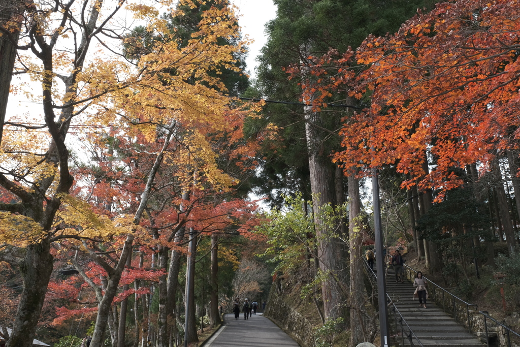 比叡山を上がって