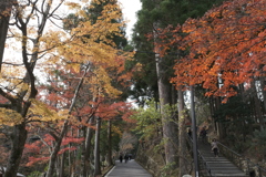 比叡山を上がって