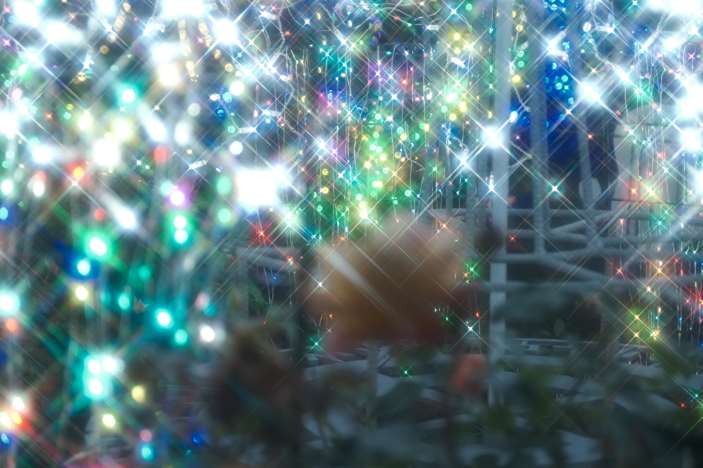 綾部夢ライト2022-4