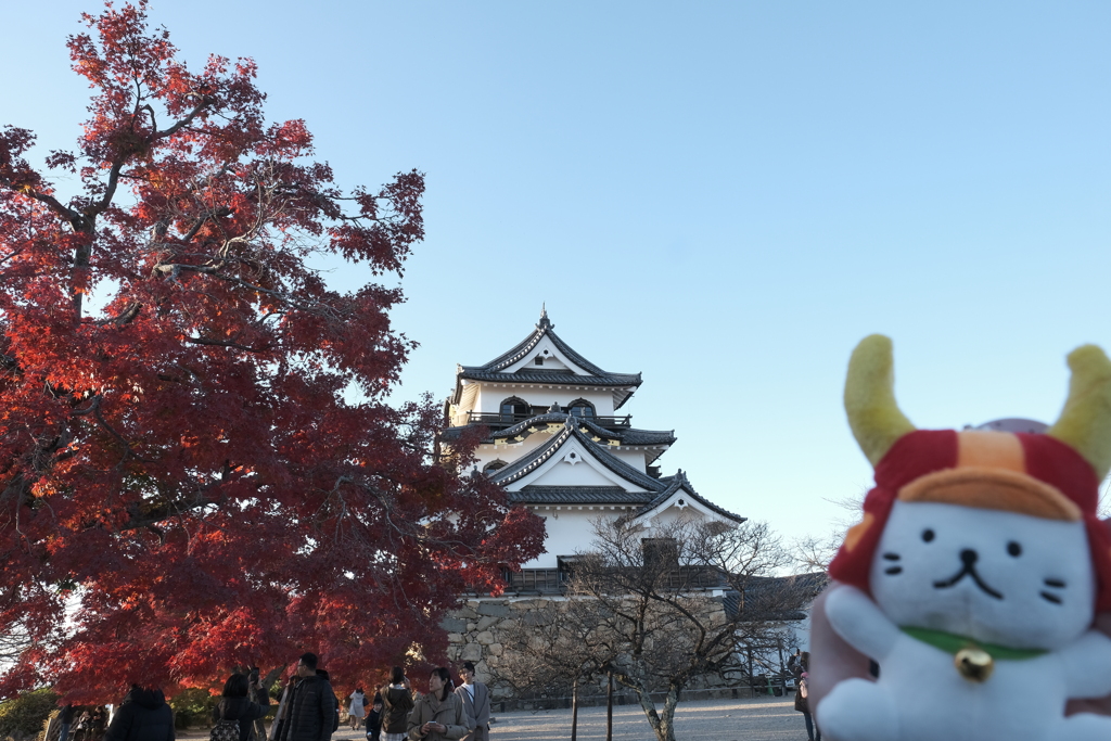 彦根城と真っ赤な紅葉１