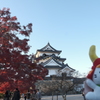 彦根城と真っ赤な紅葉１
