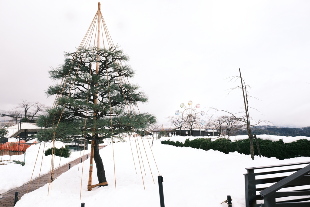 雪景色を求めて強引な予定で天橋立へ３