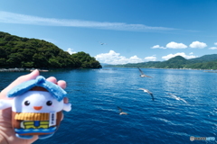 伊根湾めぐり遊覧船に乗って８