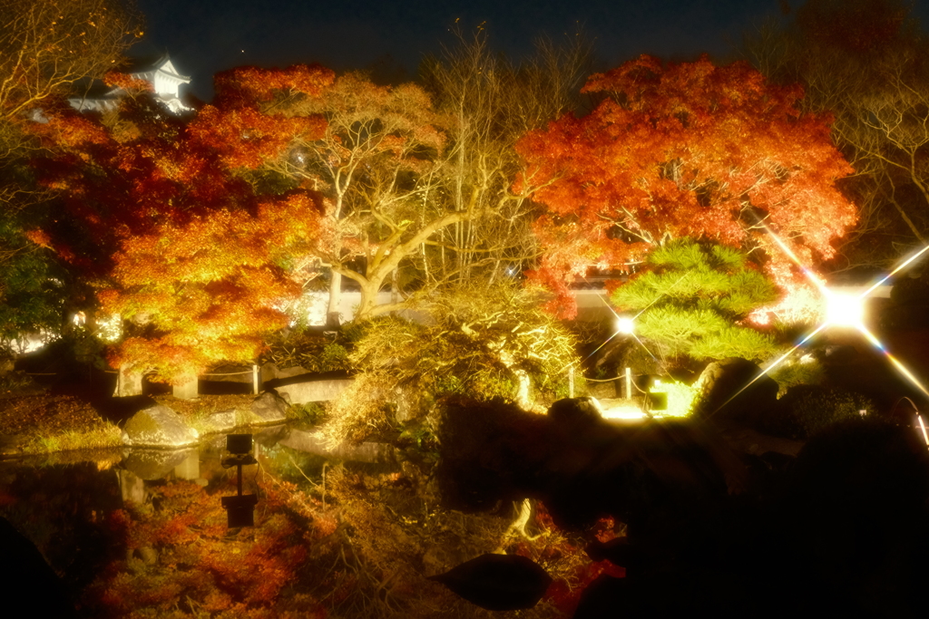 X-T5新調後、年末最後の紅葉ライトアップ(好古園)６