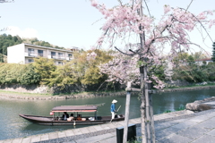 桜の季節が終わった時、GWで滋賀へと異動となります８