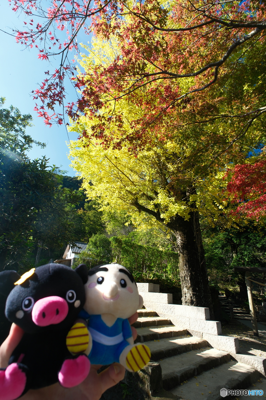 紅葉がメインにならなかった時５