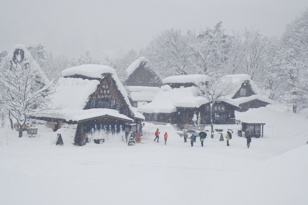 1月末大雪で水漏れの被害に、たまたまの年休で1泊2日の旅へ３９