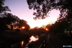 都城市に着いてイルミネーションへ向かう時の夕景１