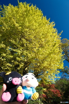 紅葉がメインにならなかった時４