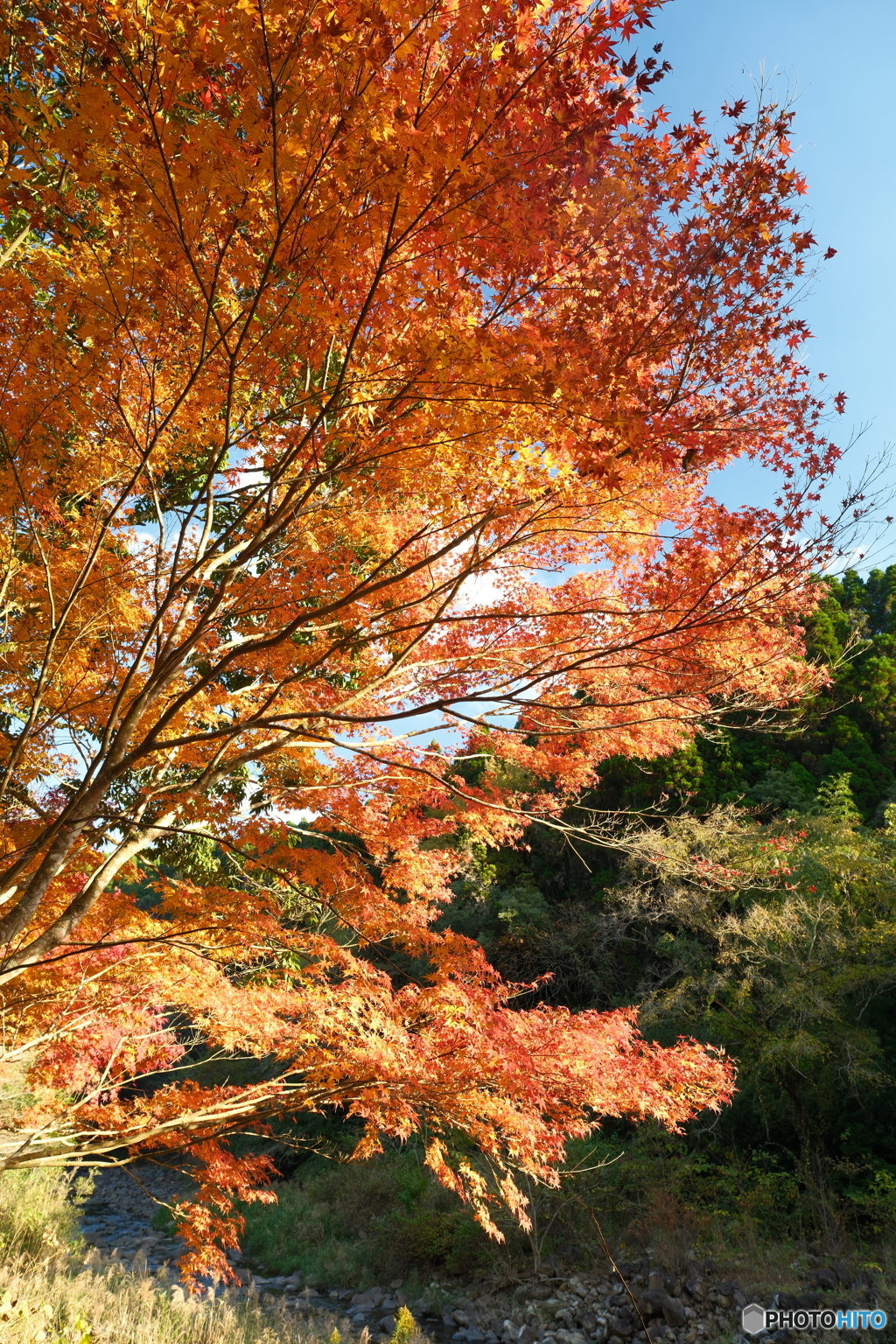 秘境で穴場な紅葉の旅２０