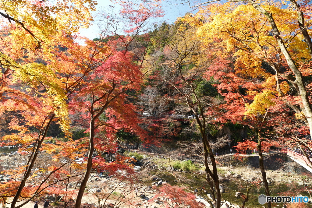 香嵐渓の紅葉１３