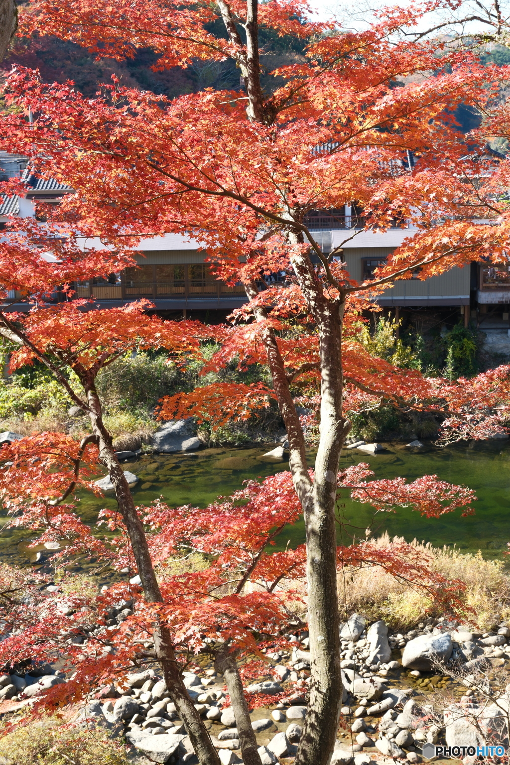 香嵐渓の紅葉４