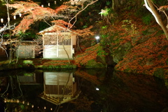 石山寺紅葉ライトアップ７