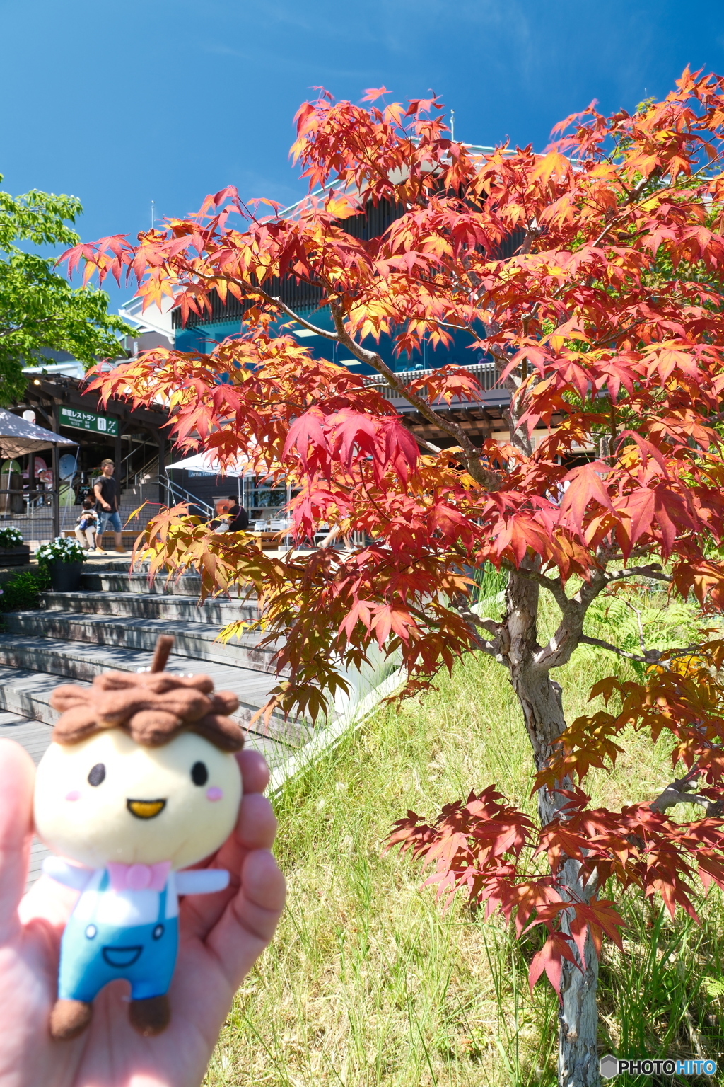 灼熱の傘松公園５