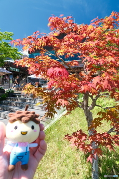 灼熱の傘松公園５