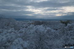 年末最終夜勤明けの近場６
