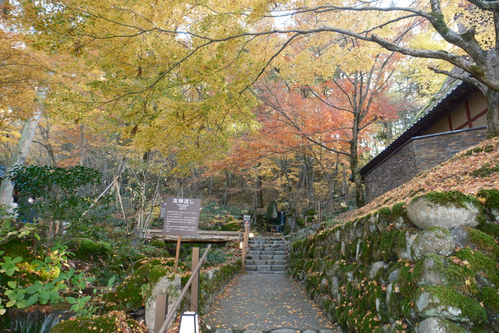 曇り予報であったが割と晴れた紅葉巡り１３
