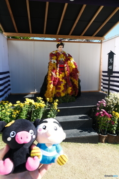 紅葉がメインにならなかった時８